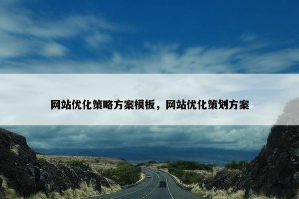 网站优化策略方案模板，网站优化策划方案