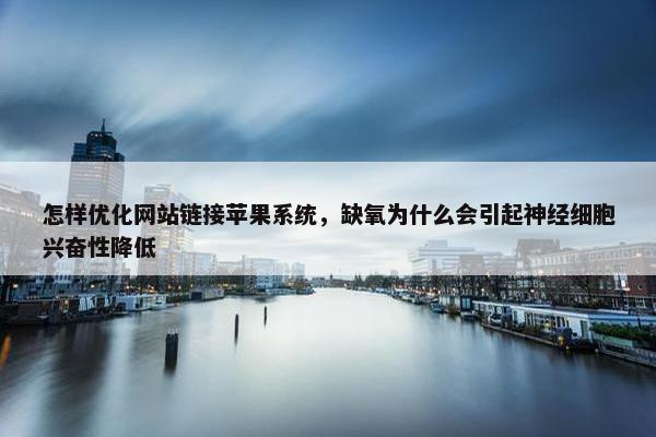 怎样优化网站链接苹果系统，缺氧为什么会引起神经细胞兴奋性降低