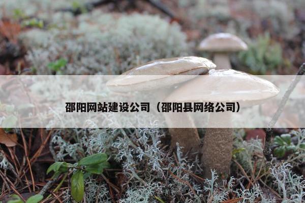 邵阳网站建设公司（邵阳县网络公司）
