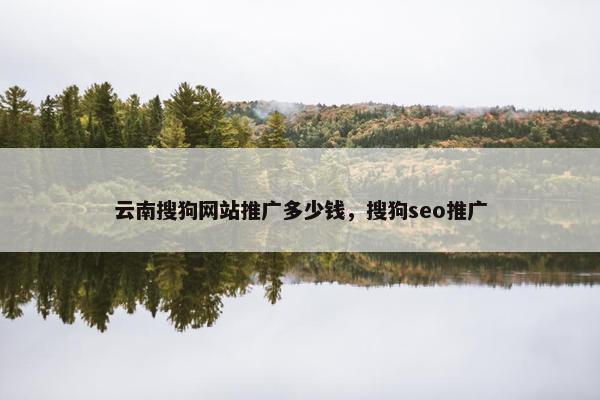 云南搜狗网站推广多少钱，搜狗seo推广