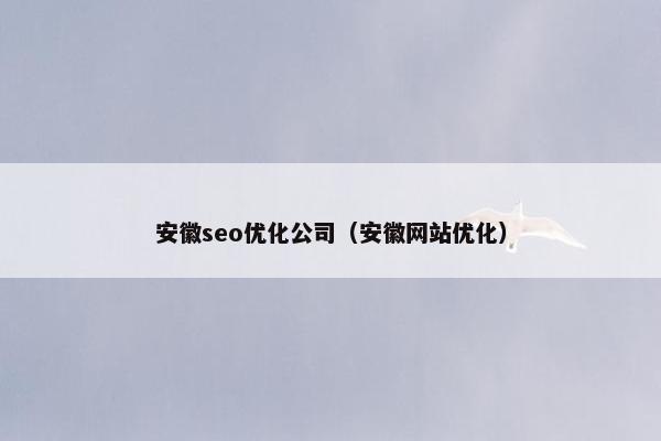 安徽seo优化公司（安徽网站优化）