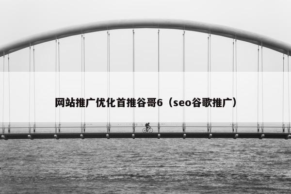 网站推广优化首推谷哥6（seo谷歌推广）