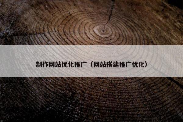制作网站优化推广（网站搭建推广优化）