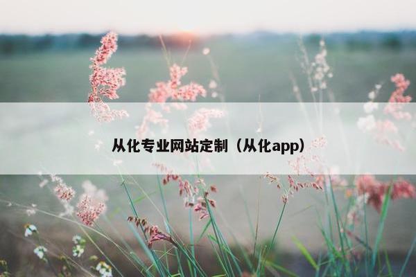 从化专业网站定制（从化app）