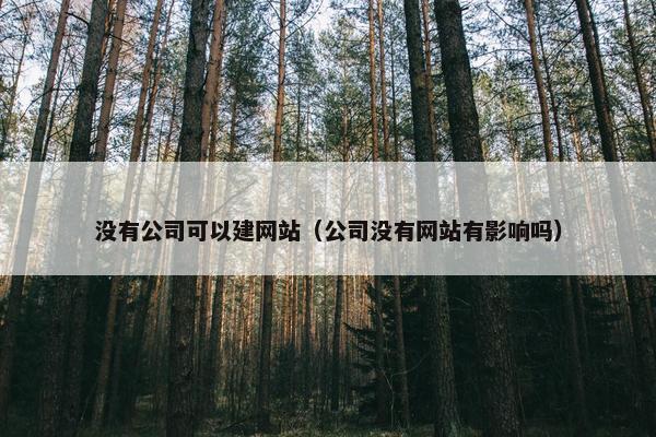 没有公司可以建网站（公司没有网站有影响吗）